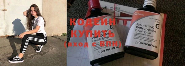 индика Волосово