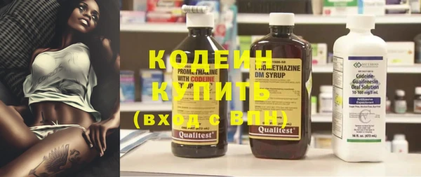 индика Волосово
