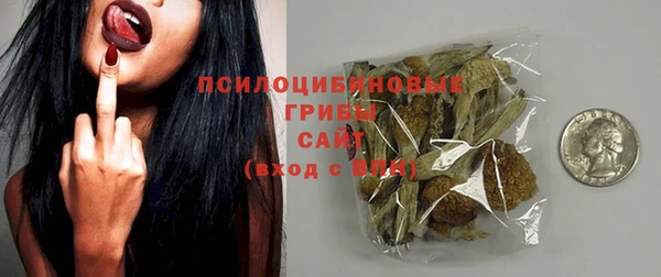 индика Волосово