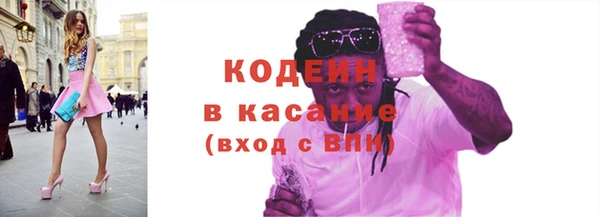 индика Волосово