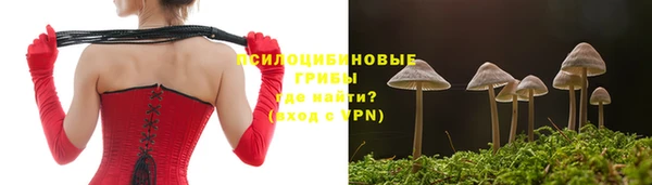 индика Волосово