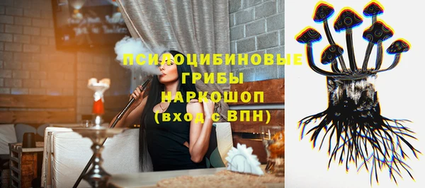 индика Волосово
