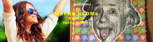 тгк Володарск