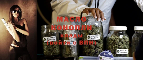 индика Волосово
