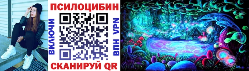цена   Саранск  Псилоцибиновые грибы Magic Shrooms 