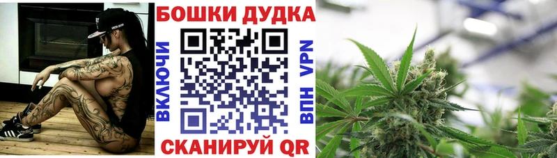 Конопля White Widow даркнет сайт Саранск
